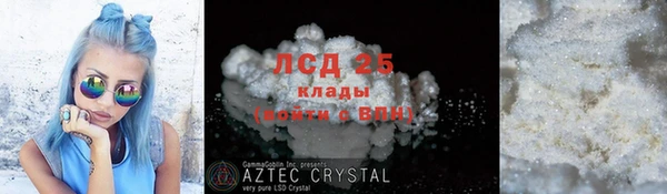 ГАЛЛЮЦИНОГЕННЫЕ ГРИБЫ Аркадак