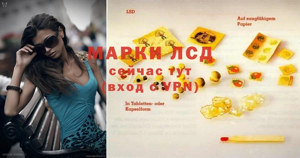 ГАЛЛЮЦИНОГЕННЫЕ ГРИБЫ Аркадак